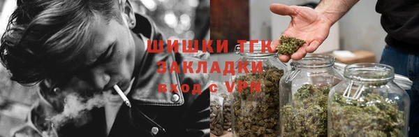 ALPHA PVP Бородино