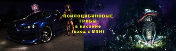ALPHA PVP Бородино