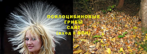 ALPHA PVP Бородино